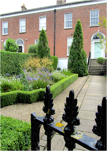 Wellington Garden 3